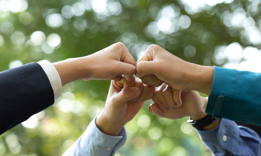 Corporate Governance and Sustainability